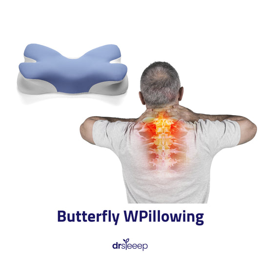 Butterfly Wing Pillow