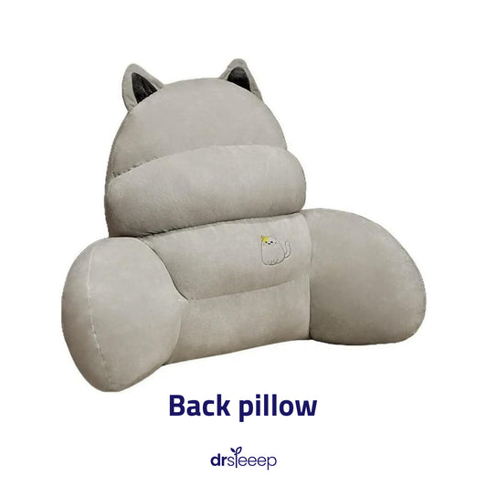 Back pillow