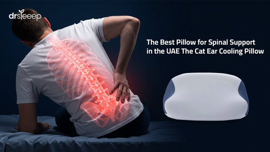 The Best Pillow for Spinal Support in the UAE The Cat Ear Cooling Pillow