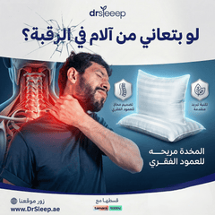 2 Adjustable Down Alternative Pillows