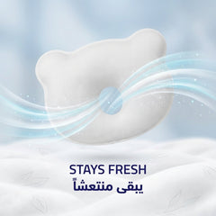 Bear Baby Head Pillow - stays fresh | يبقى منتعشاً - DrSleeep UAE