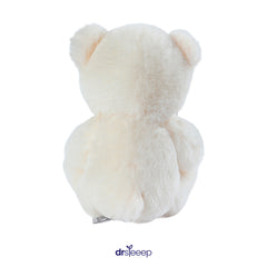 Teddy Heart