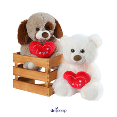 Teddy Heart