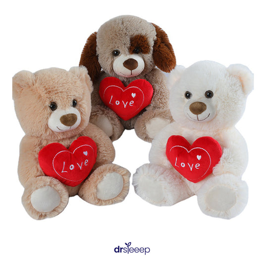 Teddy Heart